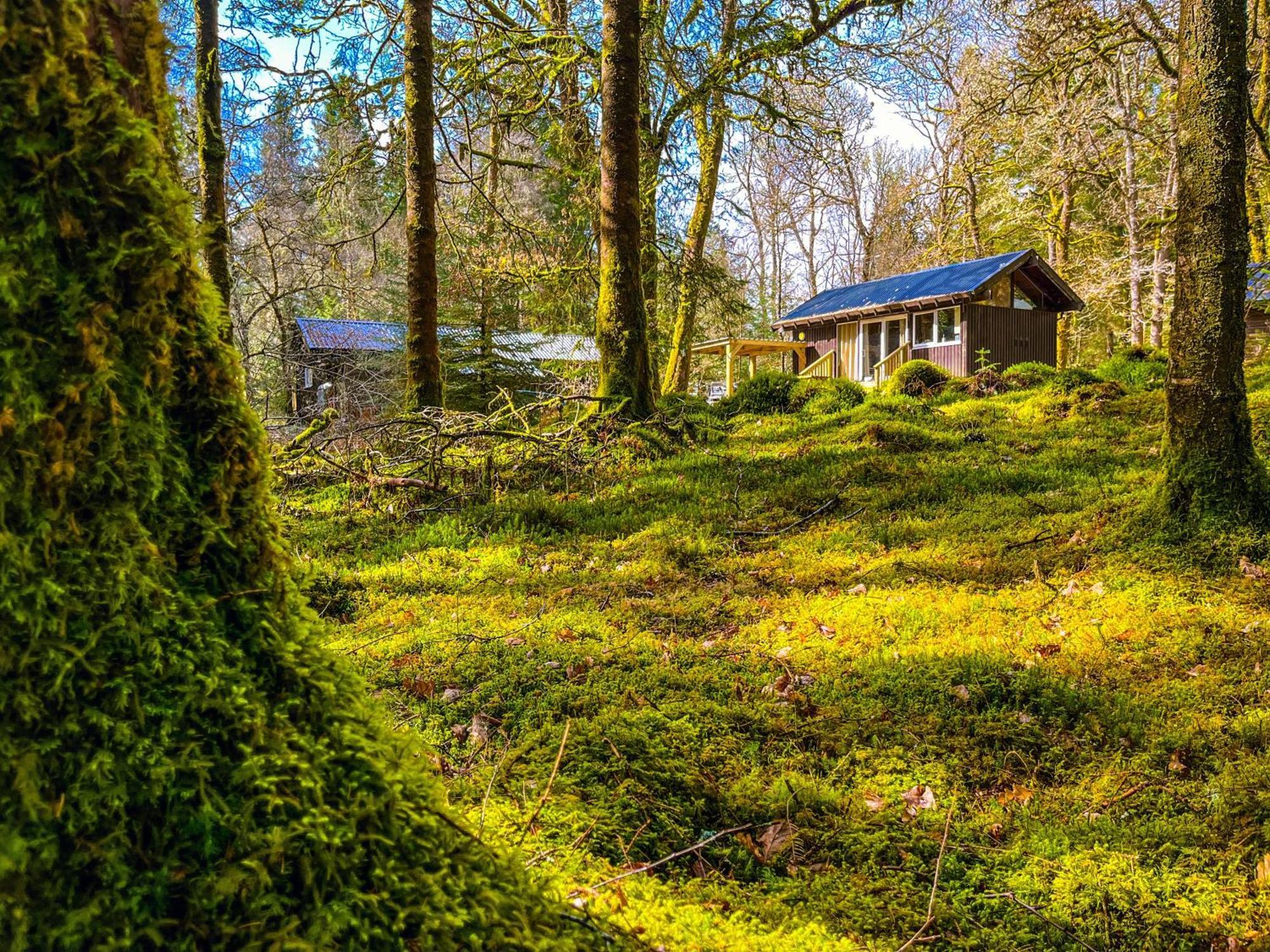 Loch Aweside Forest Cabins Dalavich Ruang foto